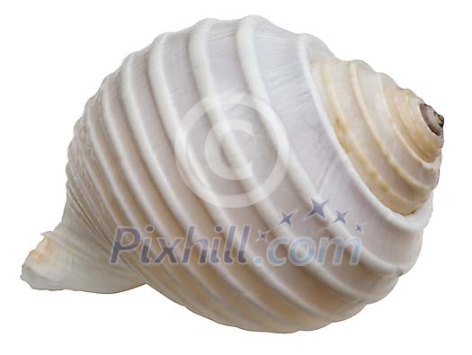 Download Clipped Stock Photos Download Clipped Stock Photos