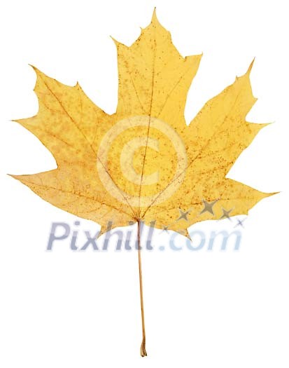 Download Clipped Stock Photos Download Clipped Stock Photos