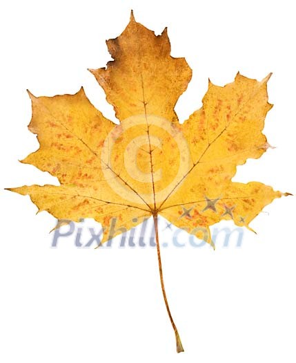 Download Clipped Stock Photos Download Clipped Stock Photos