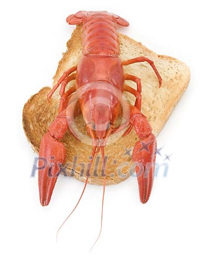 Food Stock Images with clipping path Food Stock Images with clipping path