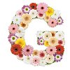 Clipped Flower Stock Images