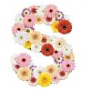 Clipped Flower Stock Images