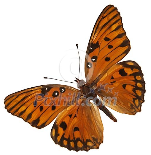 Download Clipped Stock Photos Download Clipped Stock Photos