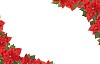 Clipped frame from Christmas Stars