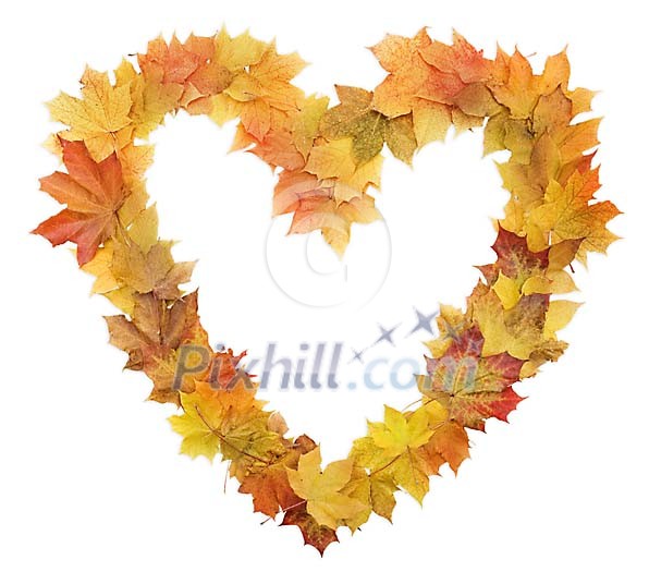 Heart made of maple leaves Heart made of maple leaves