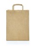 Isolated brown paper bag