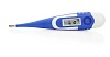 Isolated digital thermometer