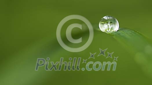 Natural green freshness in shape of a dewdrop on grass projected in a simple minimalistic way, like it was a pearl in a green ocean