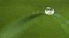 Natural green freshness in shape of a dewdrop on grass projected in a simple minimalistic way, like it was a pearl in a green ocean