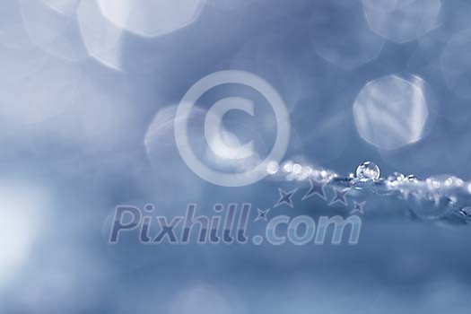Shallow Focus on Water-drops Shallow Focus on Water-drops