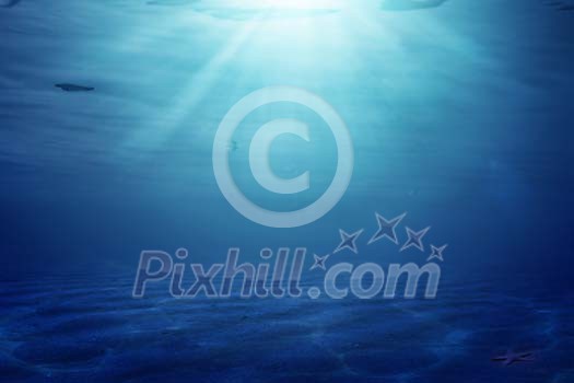 Digital Composite of Underwater Scenery Digital Composite of Underwater Scenery