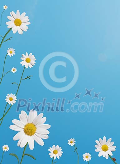 Digital Composite of Daisies on a Pastel Blue Sky