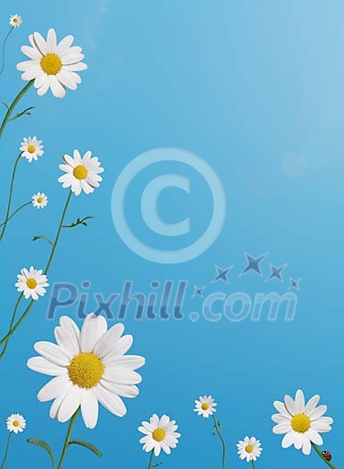 Digital Composite of Daisies on a Pastel Blue Sky Digital Composite of Daisies on a Pastel Blue Sky