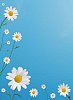 Digital Composite of Daisies on a Pastel Blue Sky