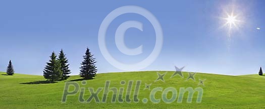 Digital Composite of grasshills, trees, sun and sky Digital Composite of grasshills, trees, sun and sky