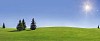Digital Composite of grasshills, trees, sun and sky