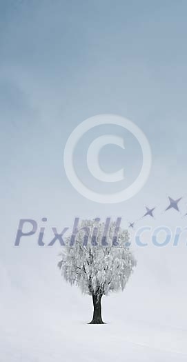 Digital Composite of Frozen Tree in a Misty winter-landscape