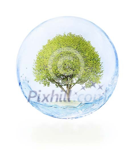 Digital Composite from tree, bubble and water to symbolize environmental issues.
