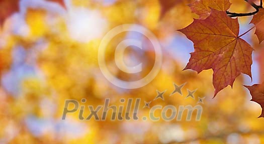 Digital Composite of an Autumn Scenery Digital Composite of an Autumn Scenery