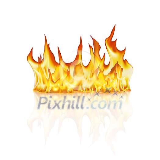 Flames isolated on white, with digitally generated reflection.