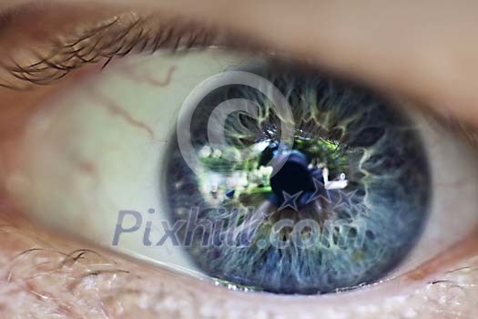 Close-Up from an angry eye Close-Up from an angry eye