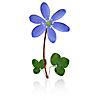 Isolated Wild Flower Hepatica nobilis