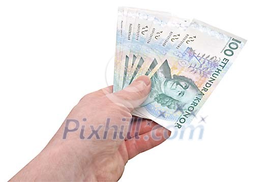 Hand holding  swedish bills