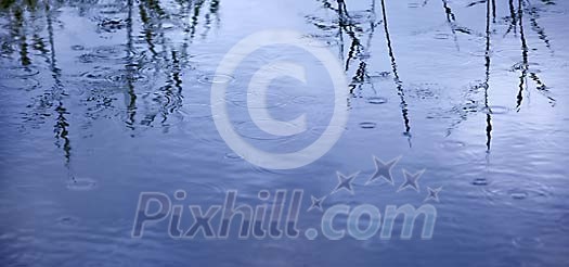 Rain drop circles on water surface