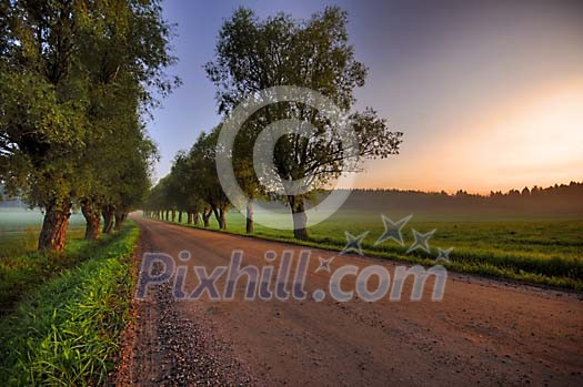 Sunrise at the country road