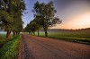 Sunrise at the country road