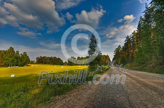 Dirt road by the hayfield Dirt road by the hayfield