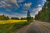 Dirt road by the hayfield