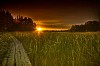 Path in a high grass on a sunset