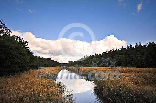 Small river on a summer day