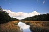 Small river on a summer day