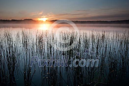 Sunrise at the foggy lake