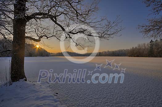 Frozen lake at the sunset Frozen lake at the sunset