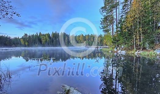 Autumn forest next to a lake