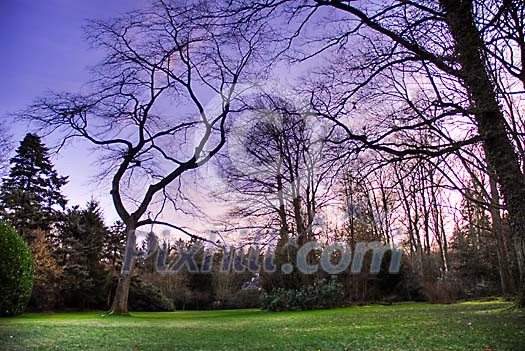 Colourful HDR image of a park