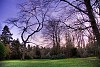 Colourful HDR image of a park