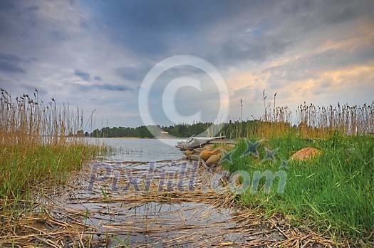 Recently cleaned way through bulrush