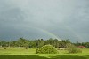 Rainbow above the field