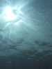 Sun shining underwater