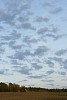 Dusky evening over the field