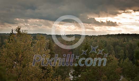 Autumn treetops Autumn treetops