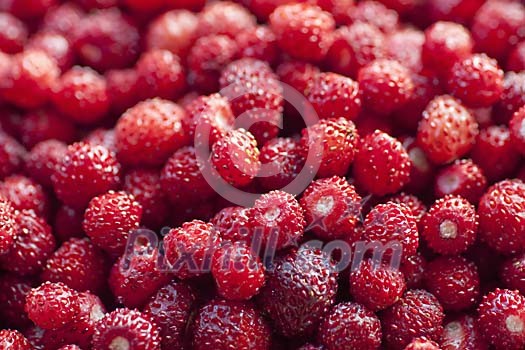 Background image of wild strawberries