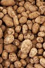 Background image of fresh potatoes