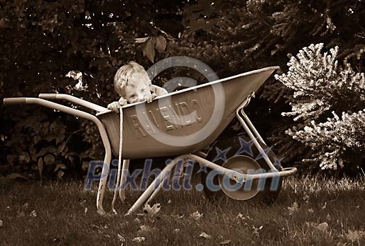 Boy hiding in the wheelbarrow Boy hiding in the wheelbarrow