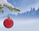 A red christmas ball hanging from snowy tree witha forest and snow background