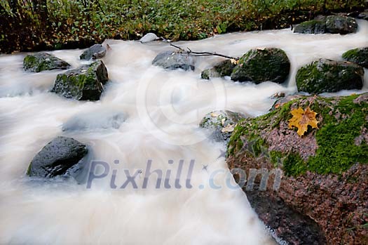 Fastly flowing river